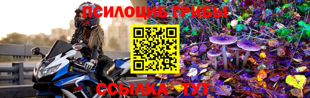Галлюциногенные грибы Cubensis Домодедово