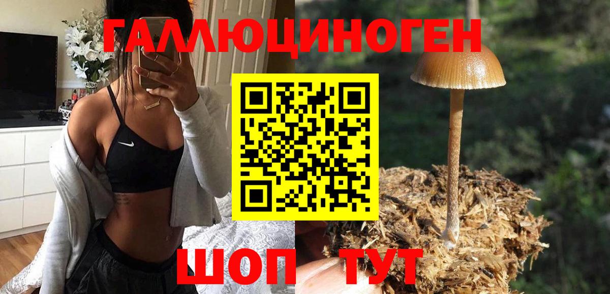 Домодедово  Галлюциногенные грибы ЛСД  Вход с VPN 